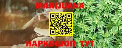 сатива Кингисепп