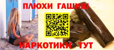 сатива Кингисепп