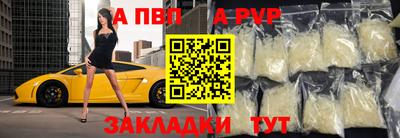 сатива Кингисепп