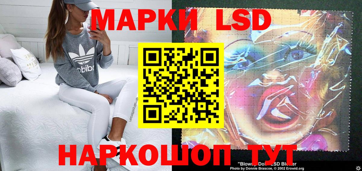 МЕФ Кольчугино