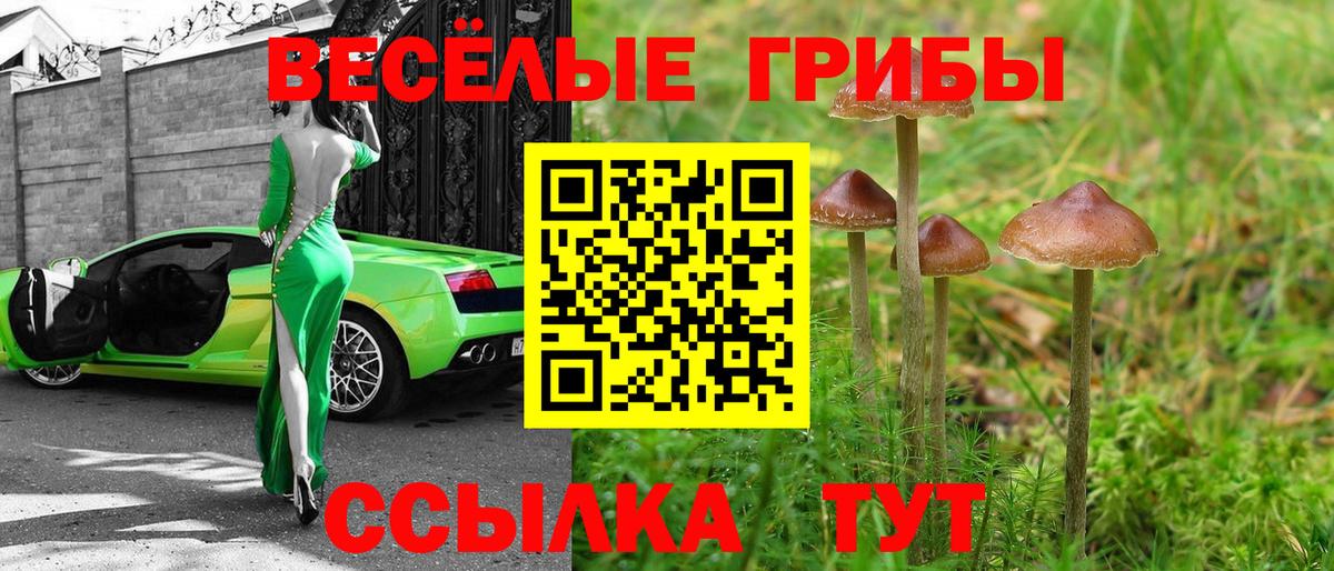 Псилоцибиновые грибы GOLDEN TEACHER  Вход с VPN  как найти закладки  Кольчугино  Галлюциногенные грибы мухоморы 