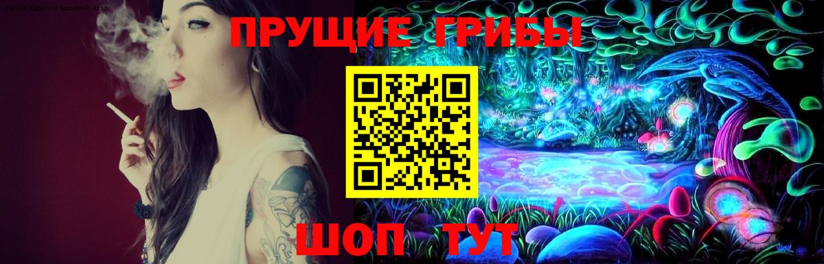 Псилоцибиновые грибы GOLDEN TEACHER Кольчугино